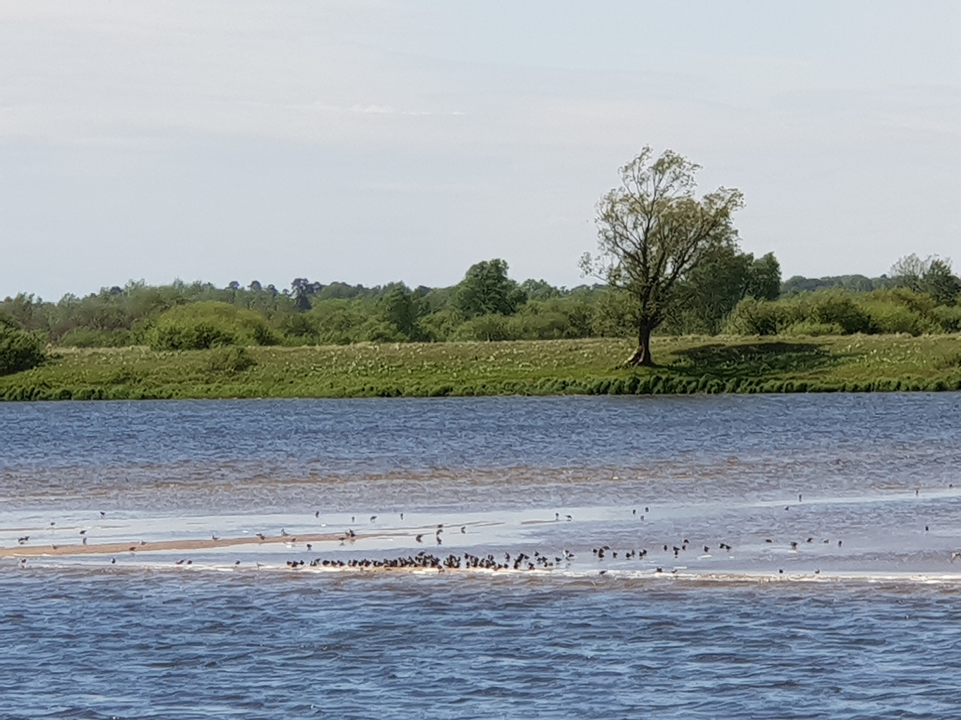 20190516_115914